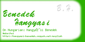 benedek hangyasi business card